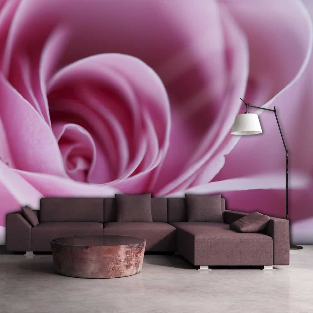 Fototapet Pink rose