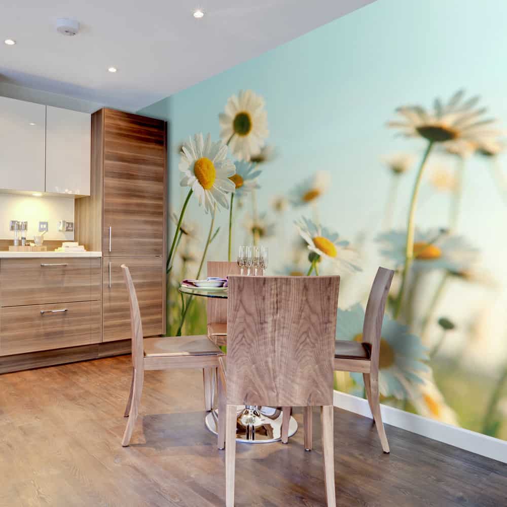 Fototapet Eng med tusindfryd