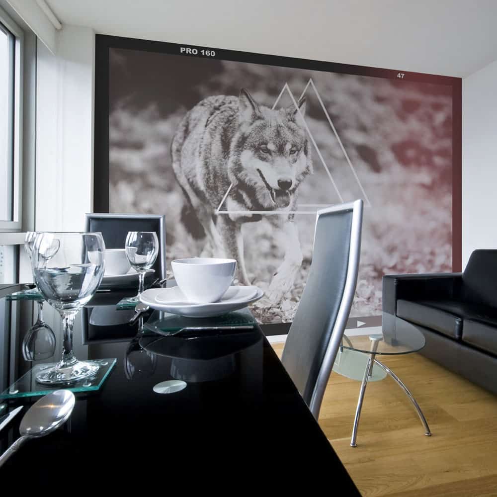 Fototapet Wolf - photo