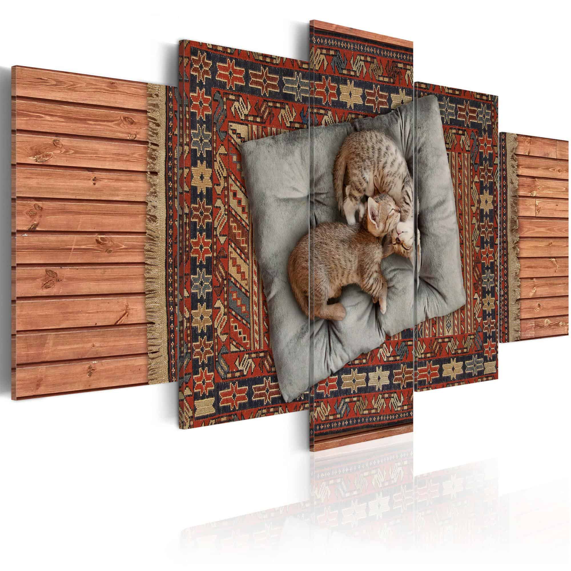 Lærredstryk Soft kitty, warm kitty, little ball of fur...