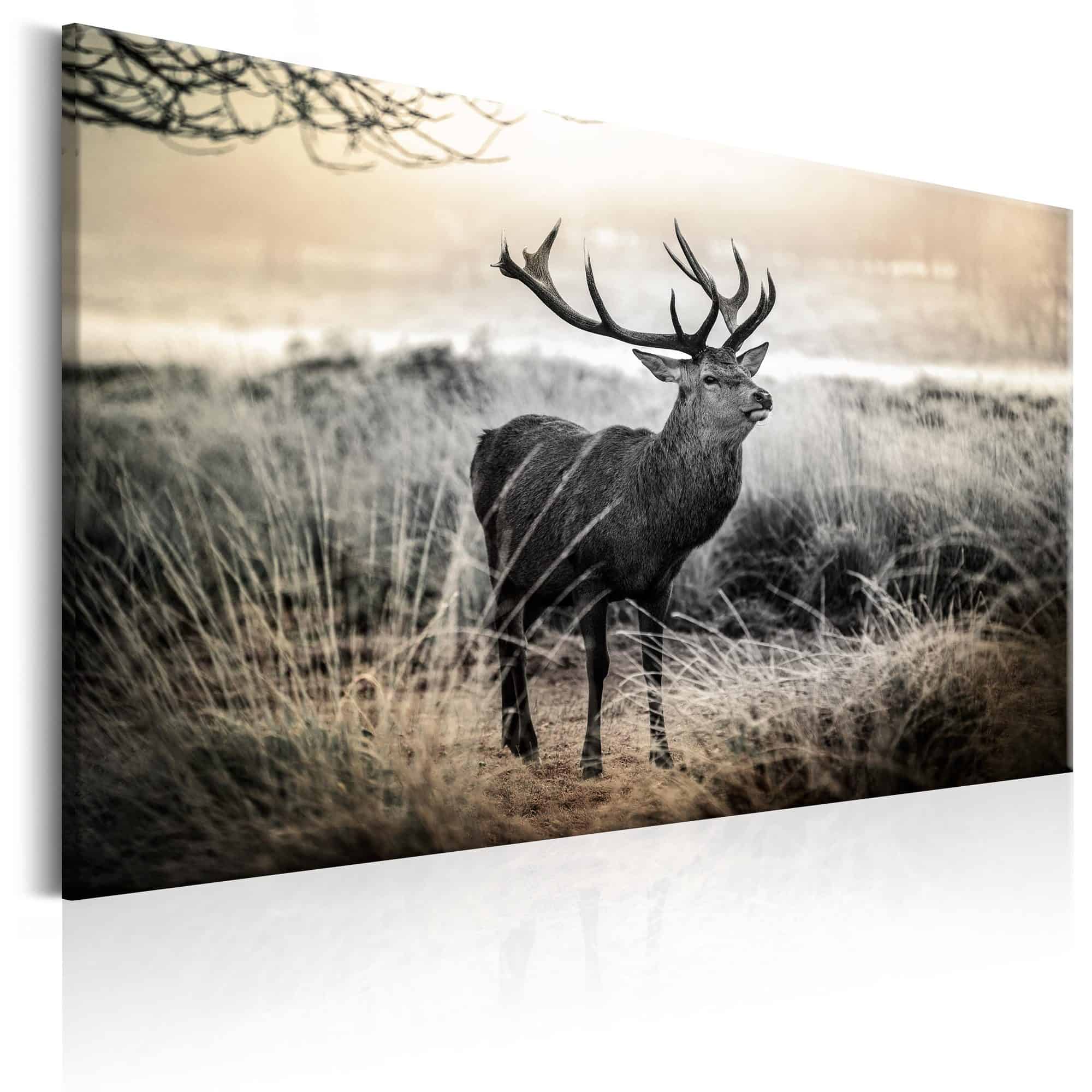 Lærredstryk Dangerous Horns