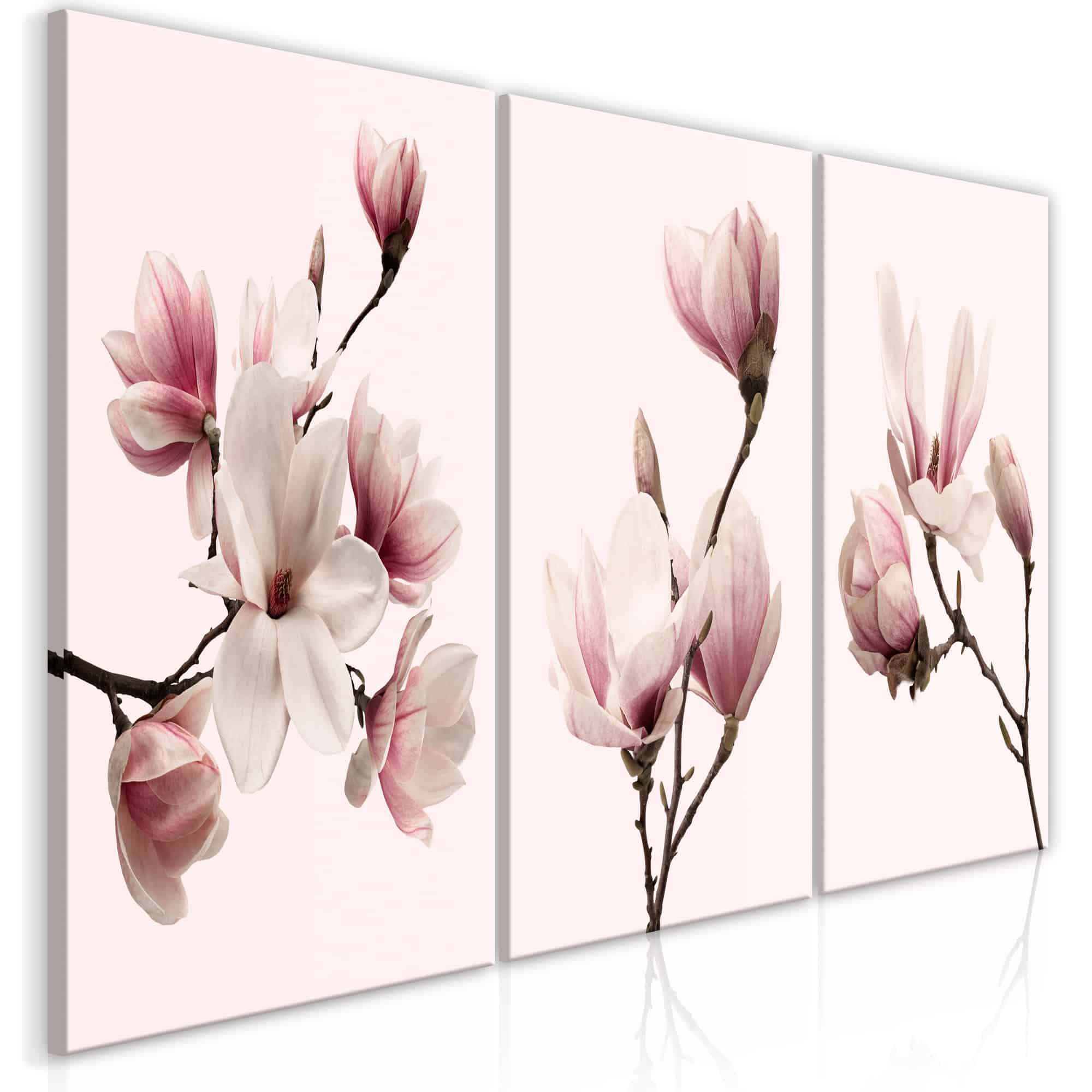 Lærredstryk Spring Magnolias (3 dele)