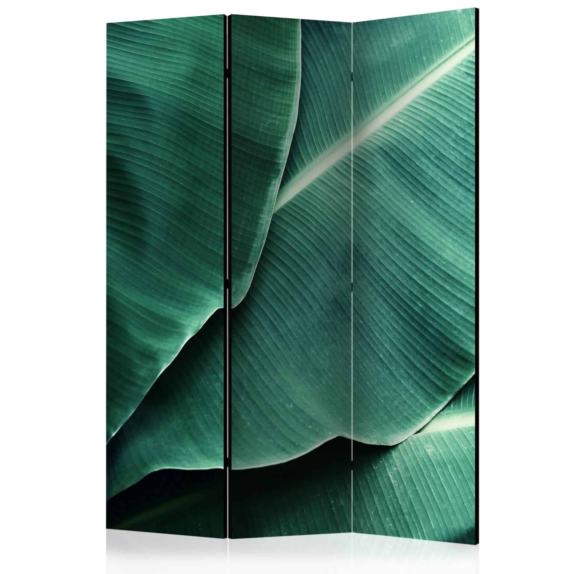 Skærmvæg Banana Leaf