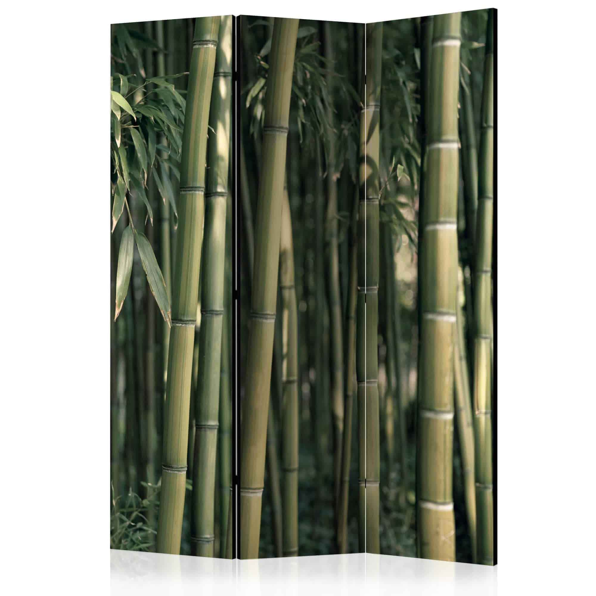 Skærmvæg Bamboo Exotic