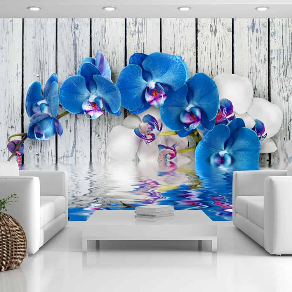 Fototapet Cobaltic orchid