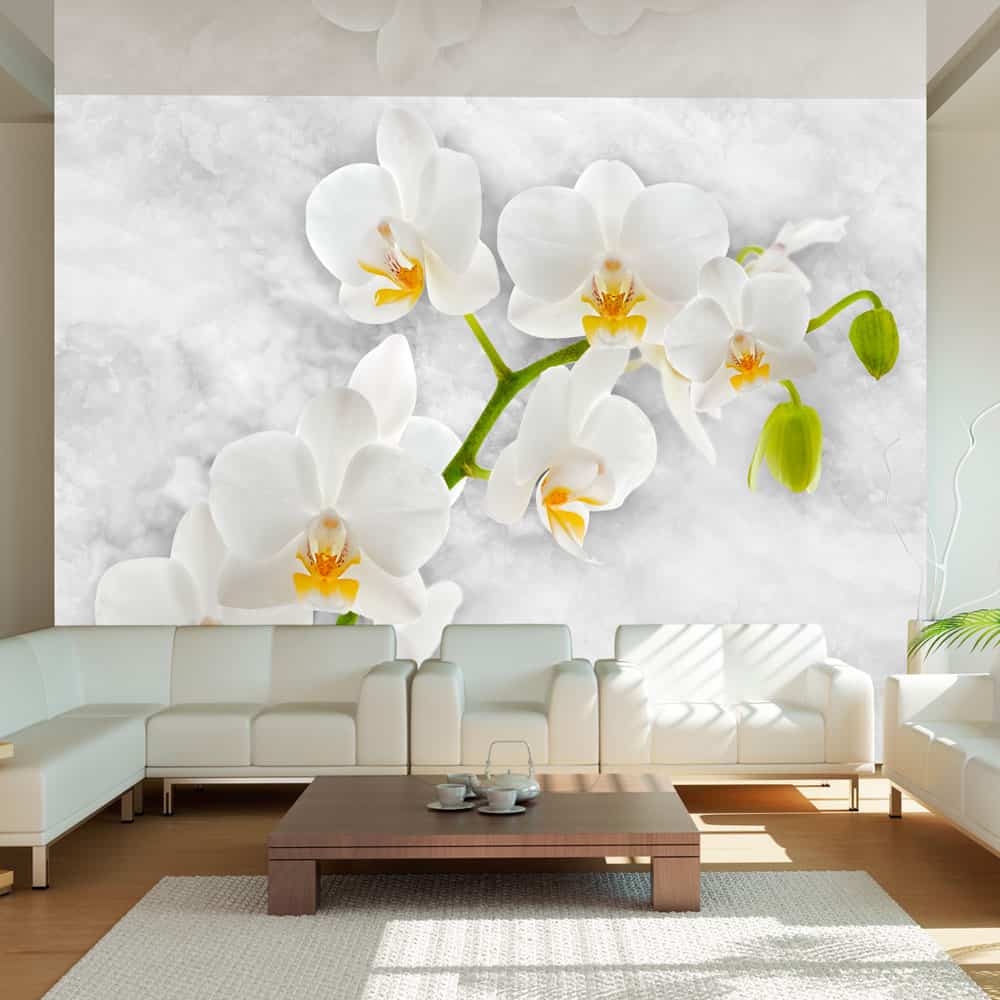 Fototapet Lyrical orchid - White