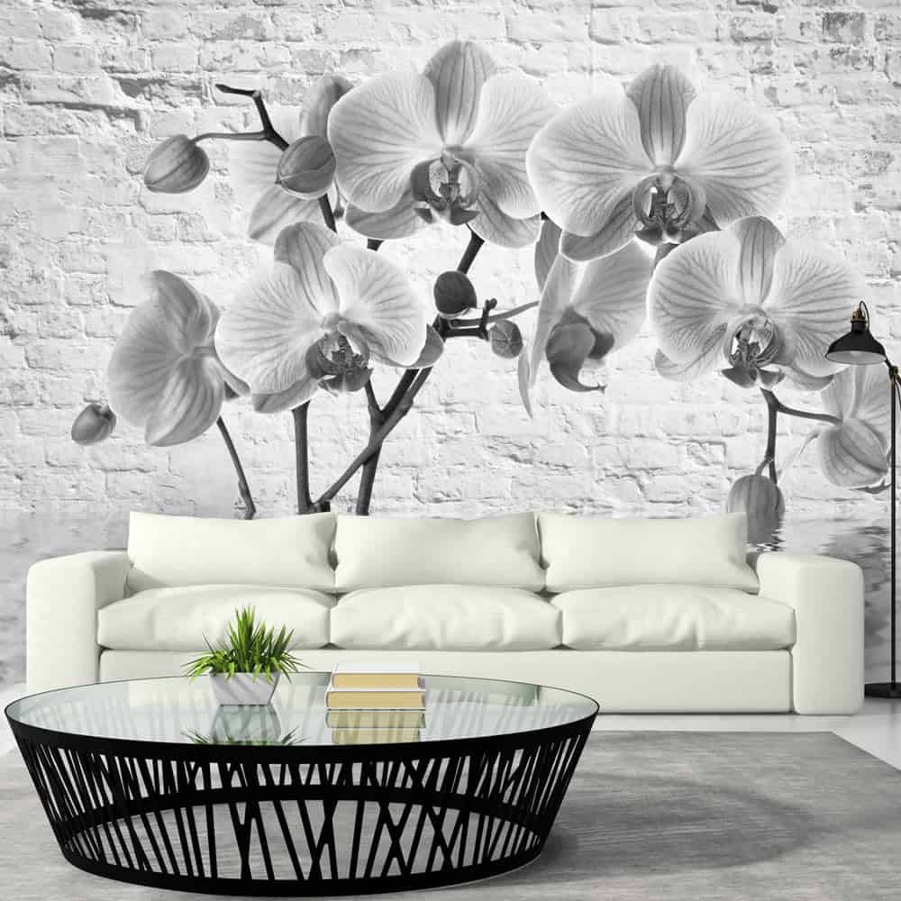 Fototapet Orchid in Shades of Gray