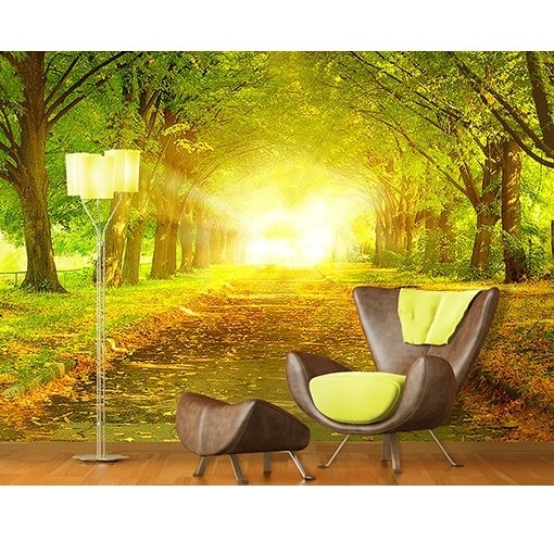 Fototapet Efterårsallé