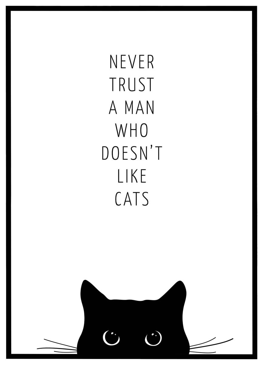 Plakat Never trust a man who doesn't like cats