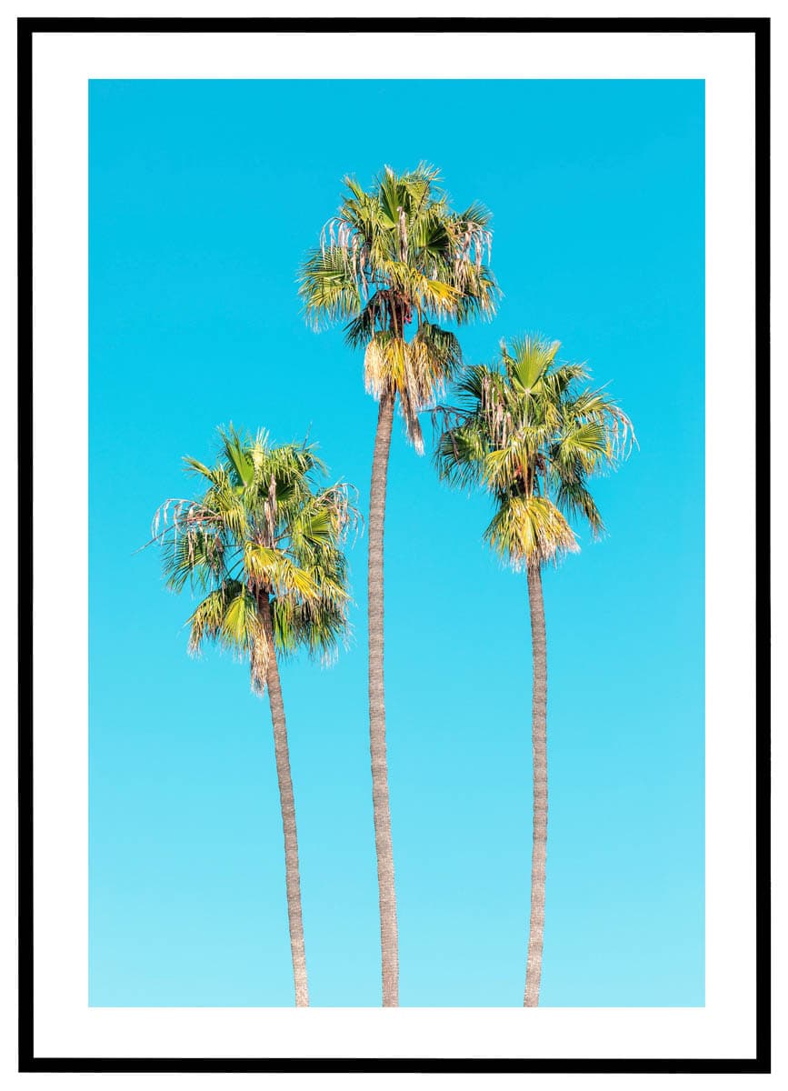 Plakat Palmetræer under blå himmel