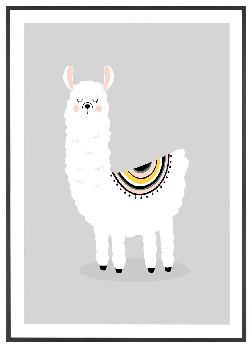 Plakat Sød lama