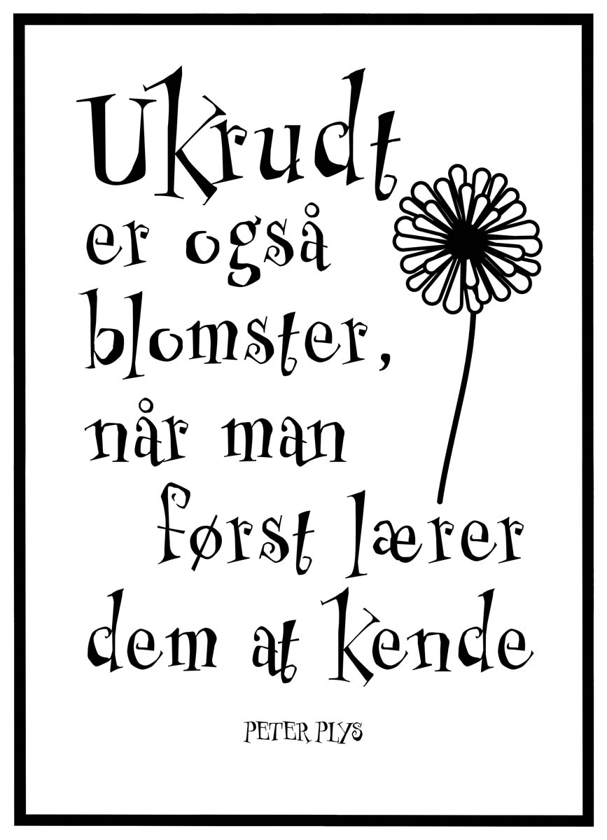 Plakat Ukrudt er også blomster