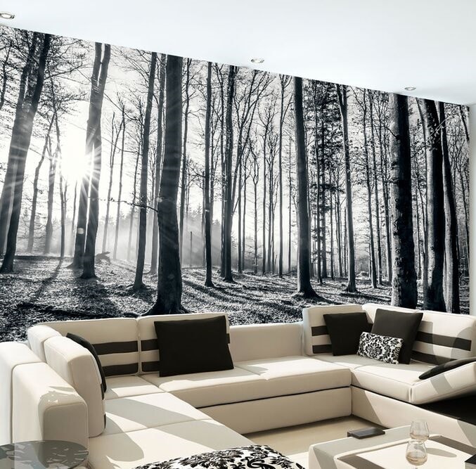 Fototapet Skov sort/hvid