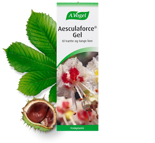 Aesculaforce® Gel - 100 Gram - A.Vogel