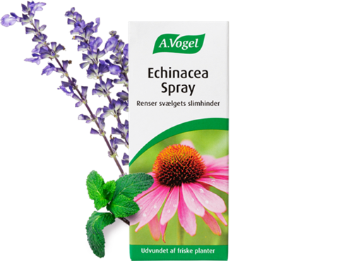 Echinacea Spray - 30 ml. - A.Vogel