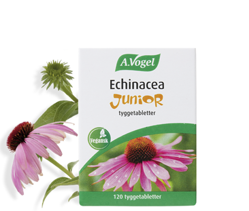 Echinacea Junior - 120 Tabl. - A.Vogel