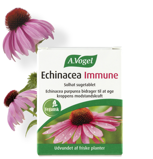 Echinacea Immune - 30 Tabl. - A.Vogel