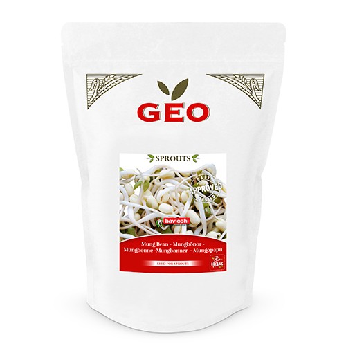 Mungbønner til spiring Økologisk - 700 gram - GEO
