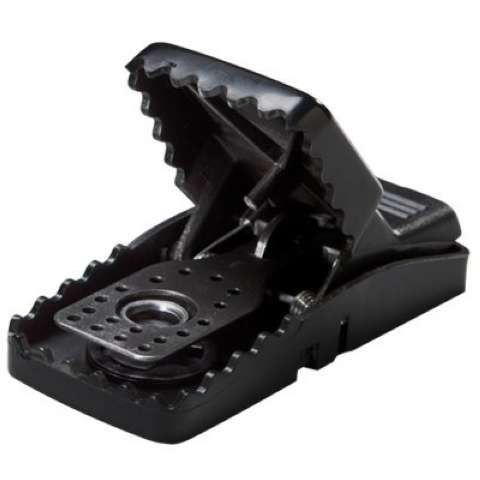 Trapp Mini Rex til mus