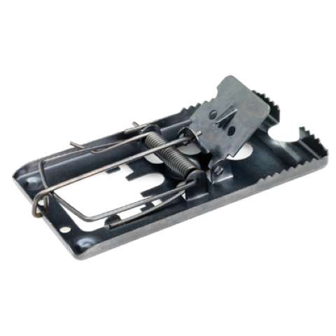 Musesmækfælde i sort metal