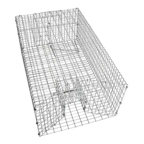 Rottefælde trådvæv Familie