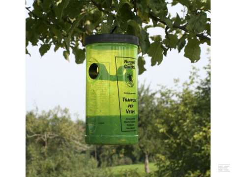 Hvepsefælde inkl lokkemiddel