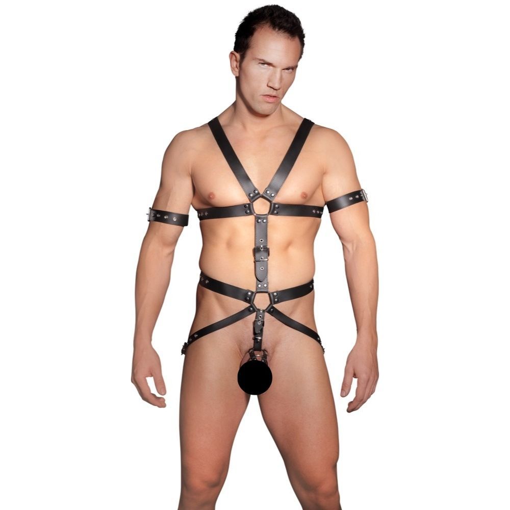 Herren Harness-S-M
