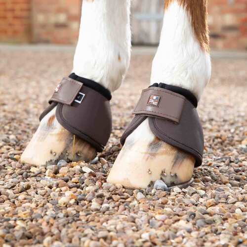 Premier Equine Ballistic No-Turn klokker - Brun/Sort - XXLarge