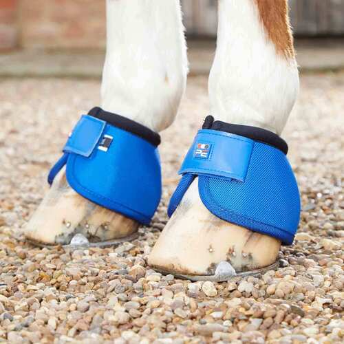 Premier Equine Ballistic No-Turn klokker - Royal blå - XXLarge