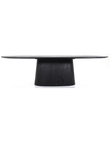 Aron aflangt spisebord i mangotræ 300 x 110 cm - Sort