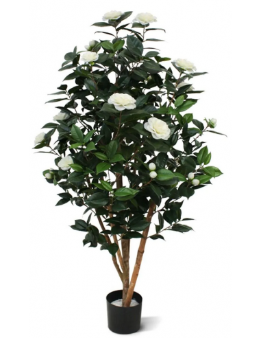 Stor kunstig Camelia Japonica plante H150 cm - Grøn/Creme