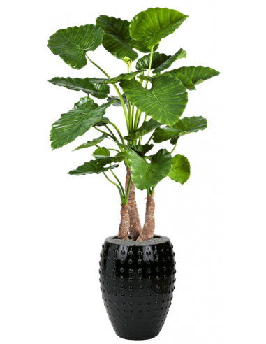 Sammenplantning med krukke og kunstig Alocasia Calidora plante H171 cm