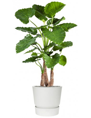 Sammenplantning med krukke og kunstig Alocasia Calidora plante H161 cm