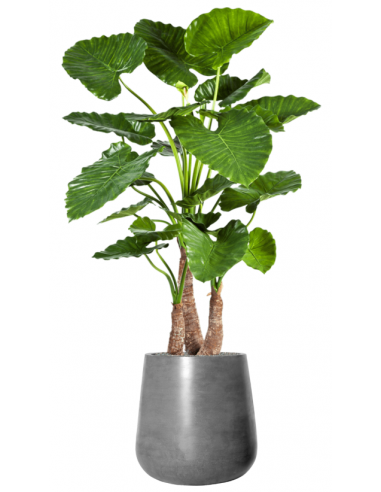 Sammenplantning med krukke og kunstig Alocasia Calidora plante H164 cm