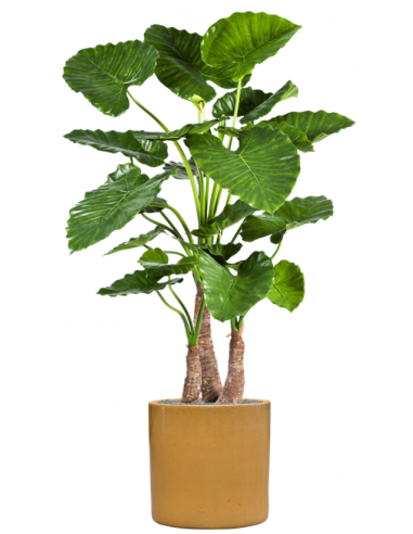 Sammenplantning med krukke og kunstig Alocasia Calidora plante H158 cm