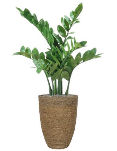 Sammenplantning med krukke og kunstig Zamioculcas plante H109 cm