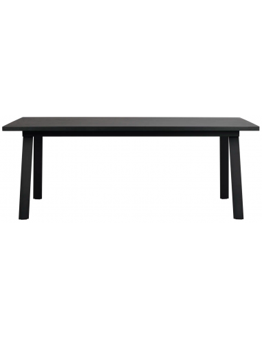 Rowico Winnipeg spisebord i metal og egetræsfinér 200 x 100 cm - Sort/Sort
