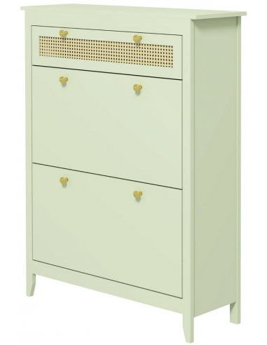 Skoskab i MDF og polyrattan H120 x B88 x D30 cm - Grøn/Natur