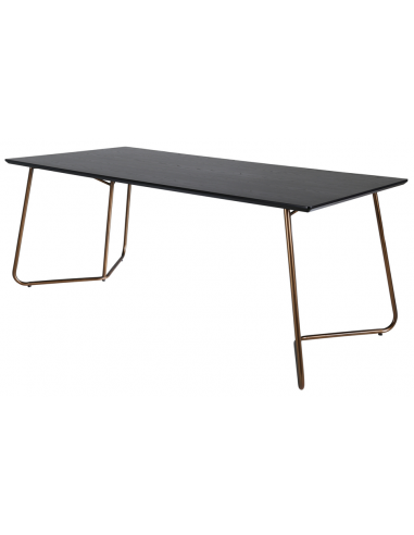 PETRA Spisebord i stål og mdf 190 x 90 cm - Antik kobber/Sort