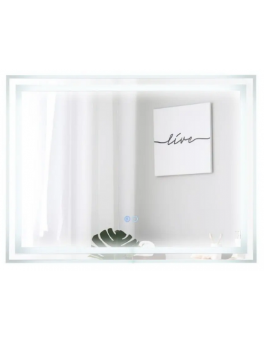 Badeværelsesspejl med dæmpbart lys H60 x B80 cm 3000 - 6000K - Alugrå