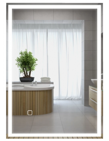 Badeværelsesspejl med dæmpbart lys 70 x 50 cm 3000 - 6500K - Sølv