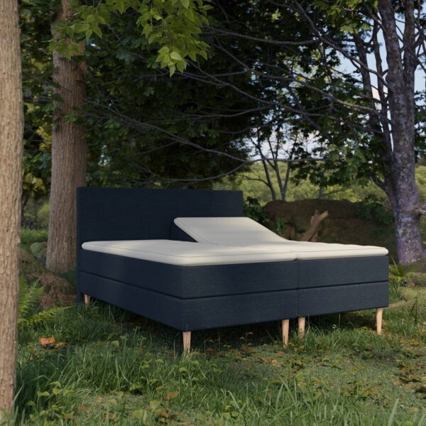 Organic Elevations Seng med Pocket + Topmadras i Latex og Bambusbetræk Fra Organic Sleep | 7 Zoner - Omega Blå - 80x200 | Lille enkelt seng