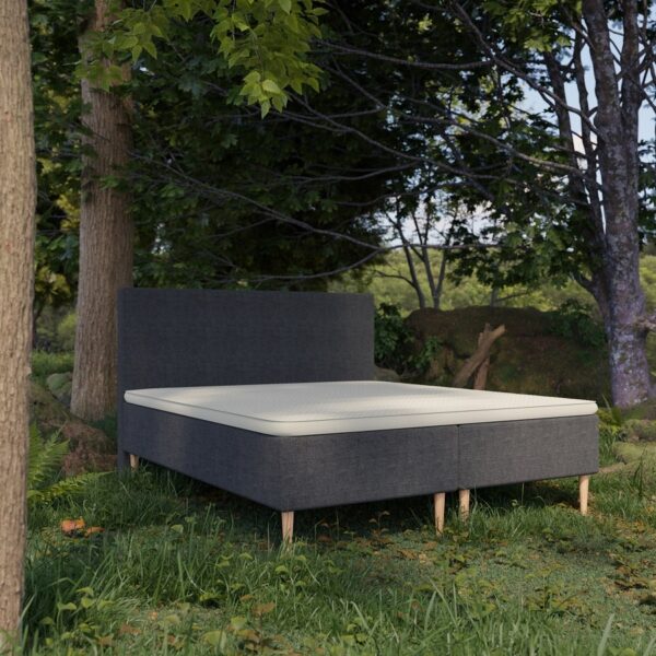 Organic Boxmadras med Pocket Fjedre + Topmadras i 100% Latex og Bomuldsbetræk Fra Organic Sleep | 7 Zoner - Omega Antracit - 80x200 | Lille enkelt seng