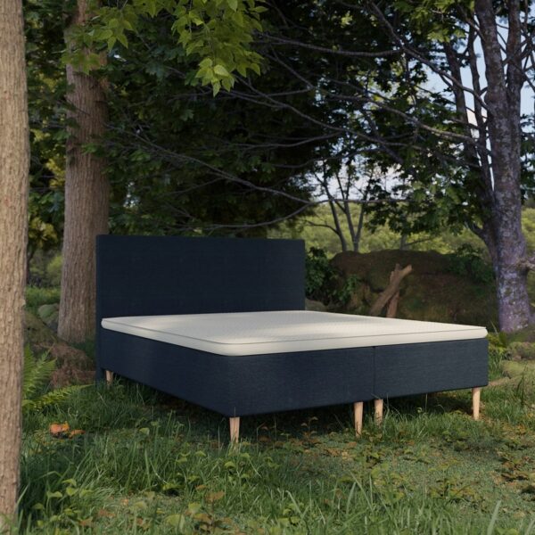 Organic Boxmadras med Pocket Fjedre + Topmadras i 100% Latex og Bomuldsbetræk Fra Organic Sleep | 7 Zoner - Omega Blå - 80x200 | Lille enkelt seng