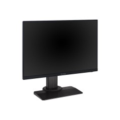 ViewSonic XG2431 24 IPS 1920 x 1080 (Full HD) HDMI DisplayPort 240Hz