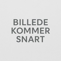 Bang & Olufsen Beoplay EX Trådløs Ægte trådløse øretelefoner Sort Blå