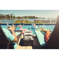 Dometic CoolFreeze CFX 35 - Compressor cool box - 35l - 12/24/230V - gray